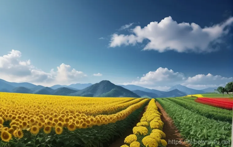 볼리비아의 주요 도시 비교 이미지 2 볼리비아의 주요 도시 비교 이미지 2